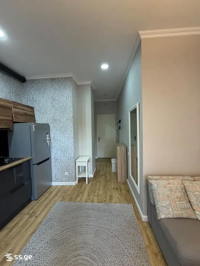 2 Room Flat For Rent. Vake, 3 of 10
