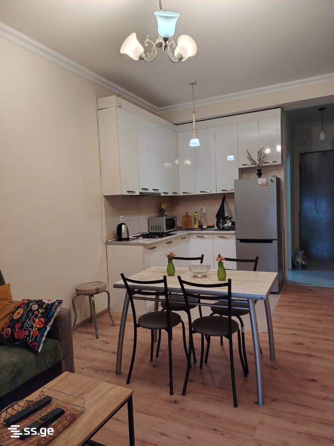 2 Room Flat Daily Rent. Didube, 7 of 7