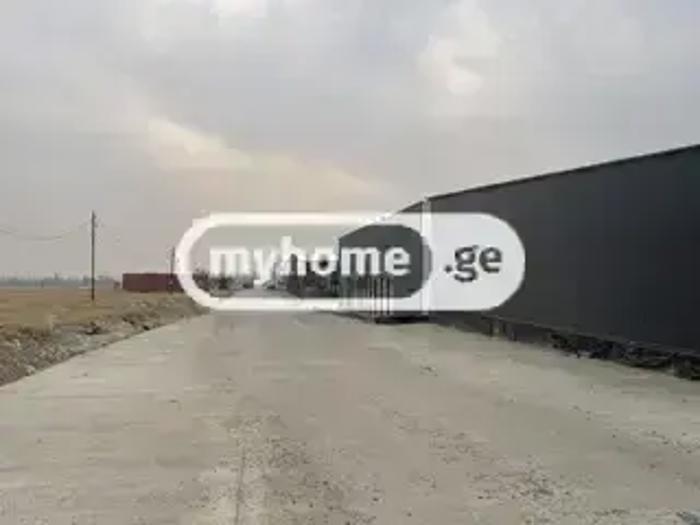 https://static.ss.ge/20260716/11_1ece0ed4-1258-41a1-bdd0-7a924f476d68_Thumb.jpg