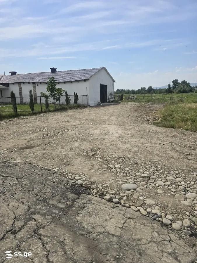 Store-Industrial Property For Rent. Samgori, 3 of 6