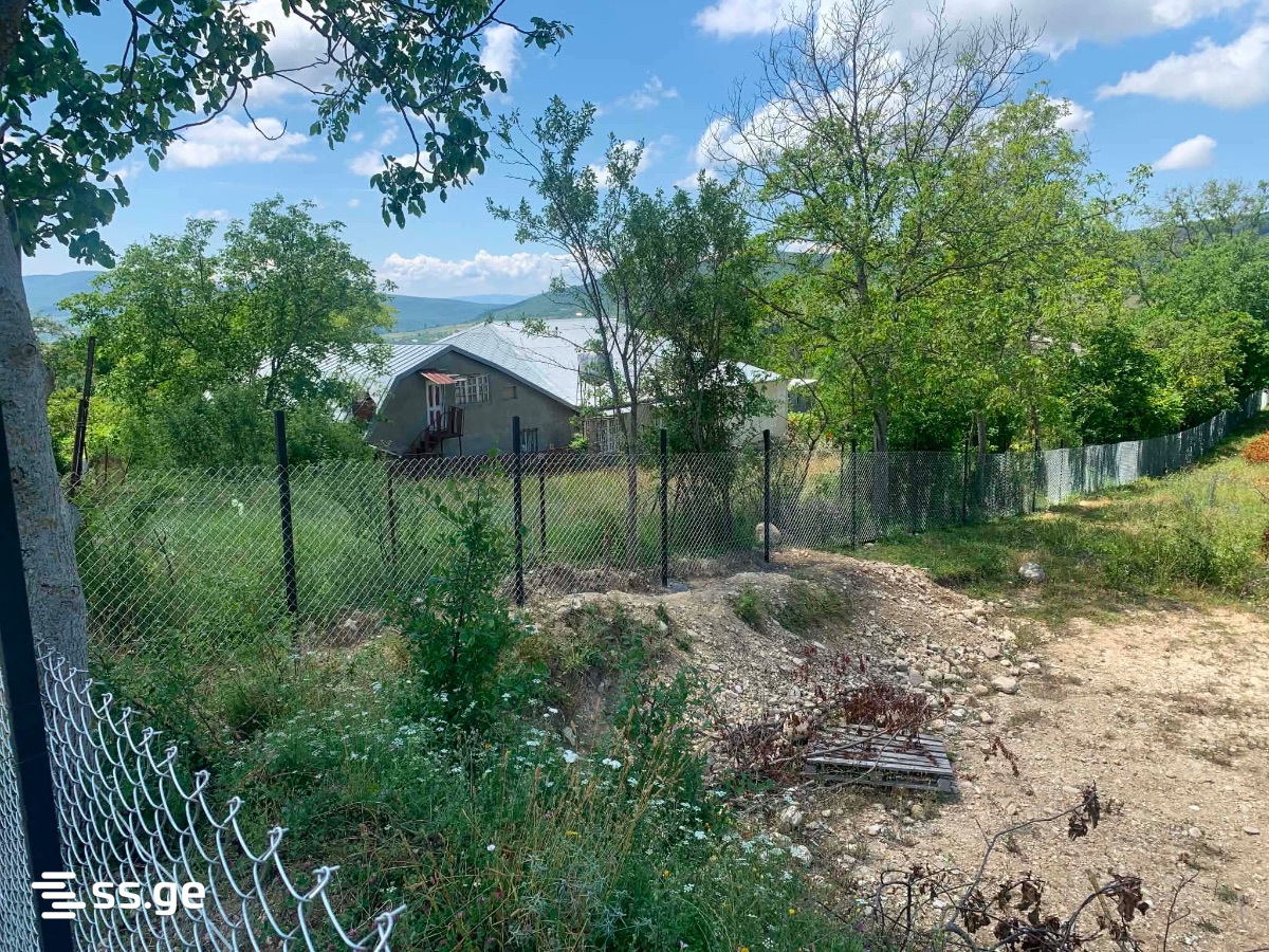 Land For Sale. Bazaleti view 13