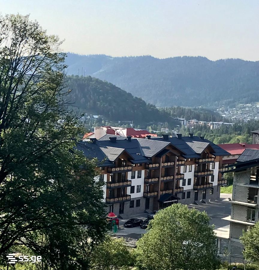 2 Room Flat Daily Rent. Bakuriani, 11 of 11