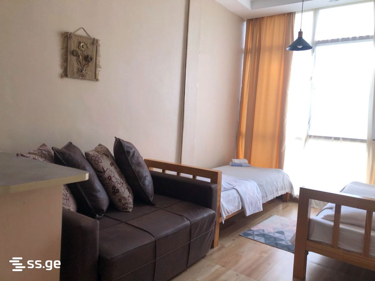 1 Room Flat Daily Rent. Borjomi view 5