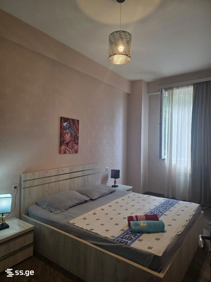 2 Room Flat Daily Rent. Didube, 5 of 7