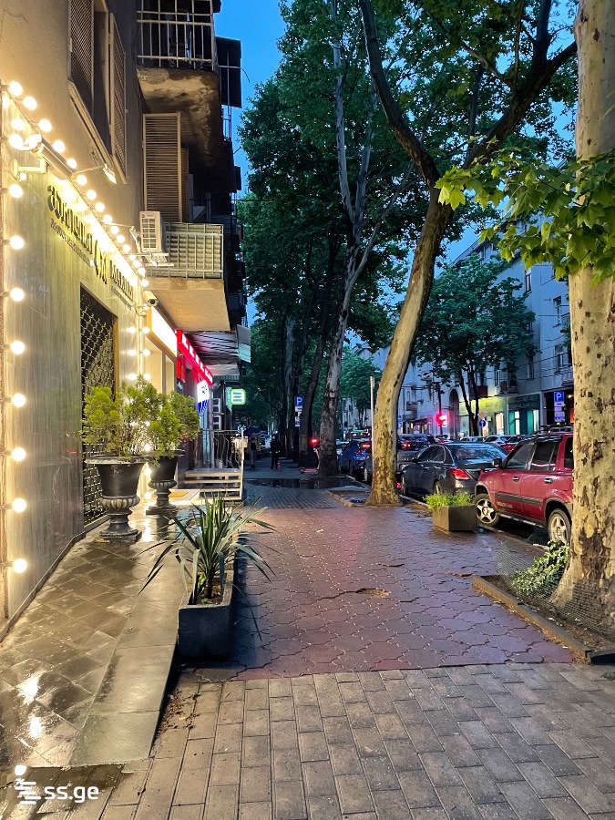 1 Room Flat For Rent. Vake, 9 of 11