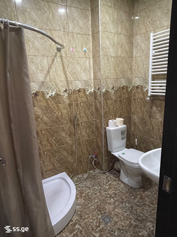 2 Room Flat Daily Rent. Didi Digomi, 7 of 8