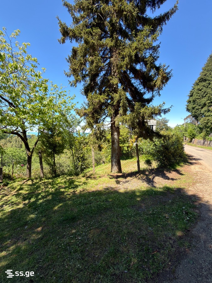 Land For Sale. Tsikhisdziri view 9