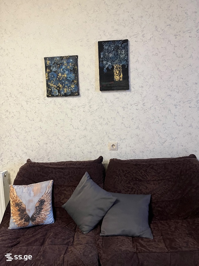 1 Room Flat Daily Rent. Digomi view 9