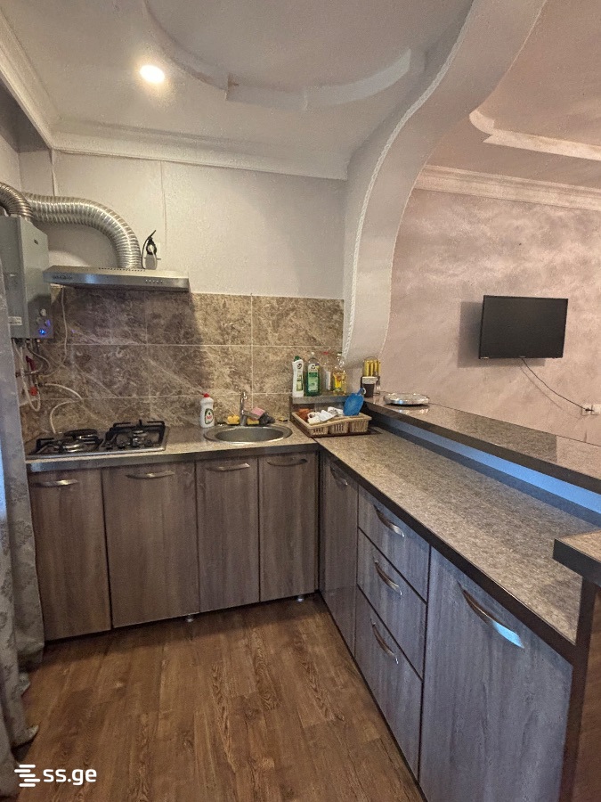 3 Room Flat Daily Rent. Tskaltubo view 3