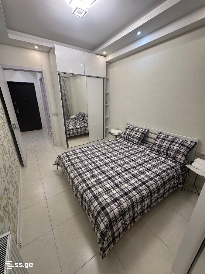2 Room Flat Daily Rent. Isani, 1 of 12