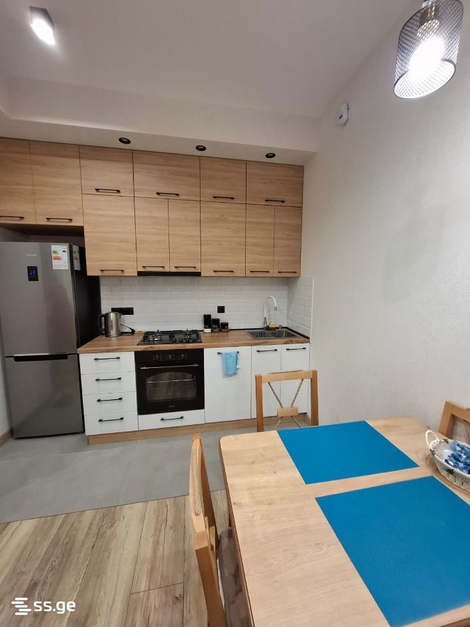 2 Room Flat Daily Rent. Didube, 1 of 9