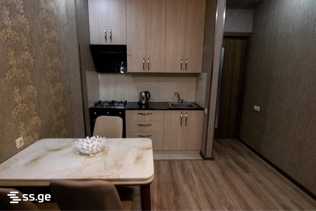 2 Room Flat Daily Rent. Didi Digomi, 2 of 7