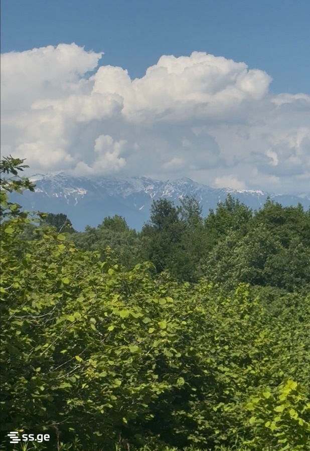 Land For Sale. Zugdidi view 1