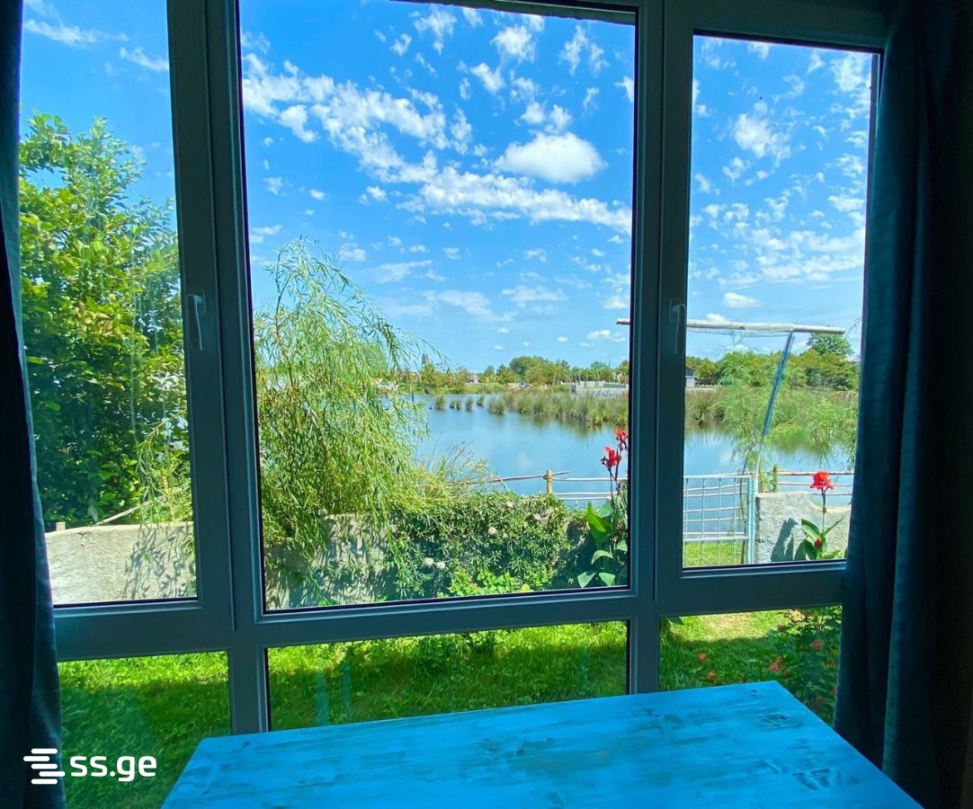6 Room Private House Daily Rent. Grigoleti view 7