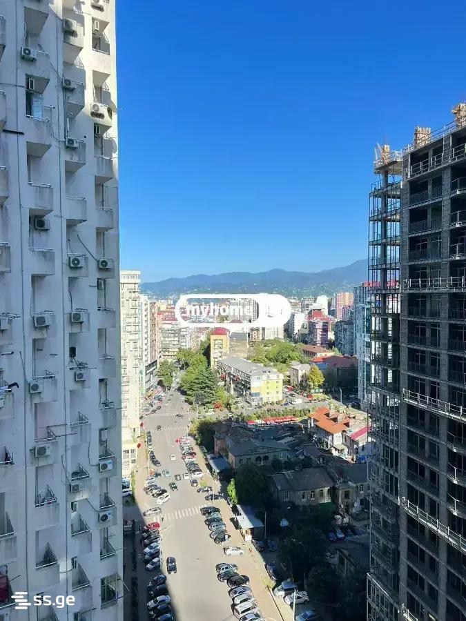 1 Room Flat Daily Rent. Batumi view 3