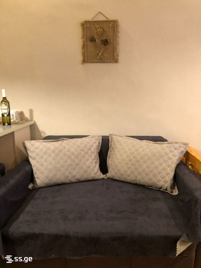 1 Room Flat Daily Rent. Borjomi view 3