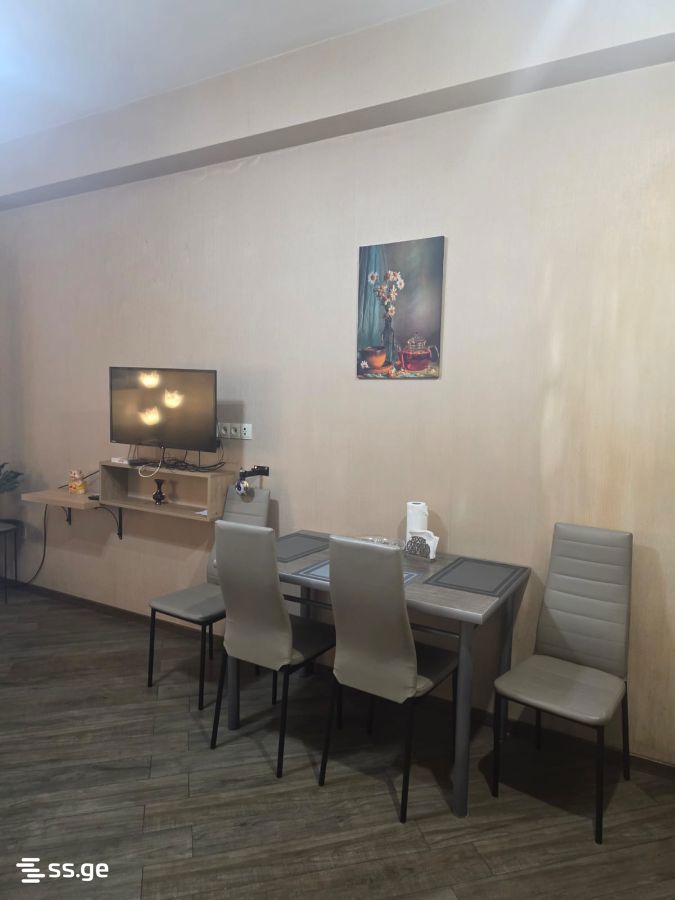 2 Room Flat Daily Rent. Didube, 1 of 7
