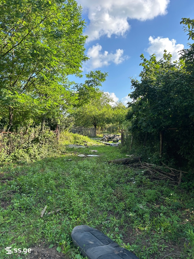 Land For Sale. Tskaltubo view 8