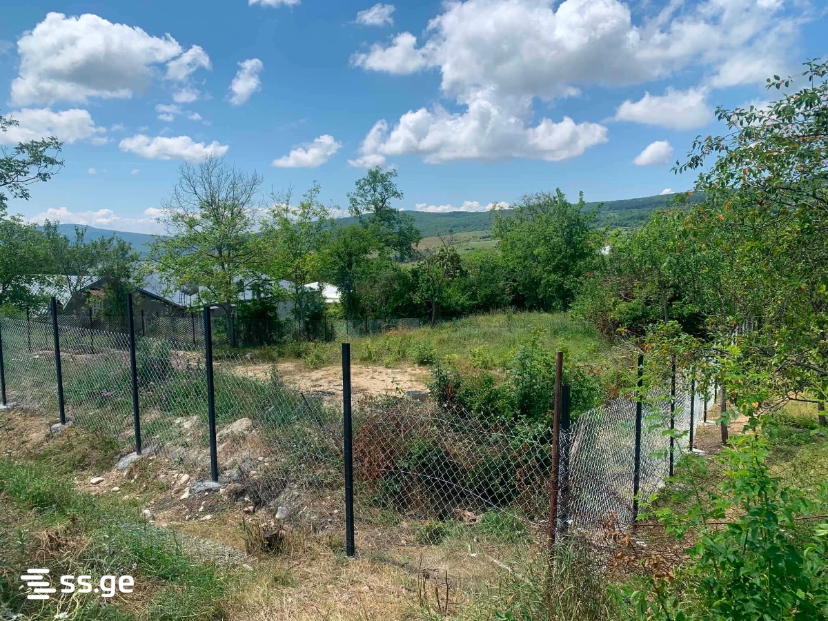 Land For Sale. Bazaleti view 7