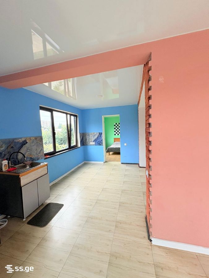 5 Room Private House Daily Rent. Gldanula, 7 of 12