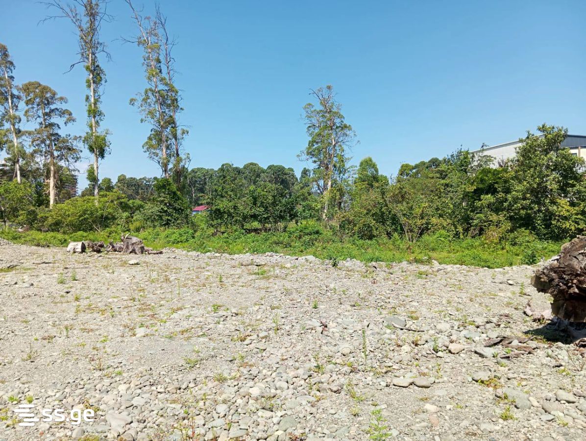 Land For Sale. Chaqvi view 6
