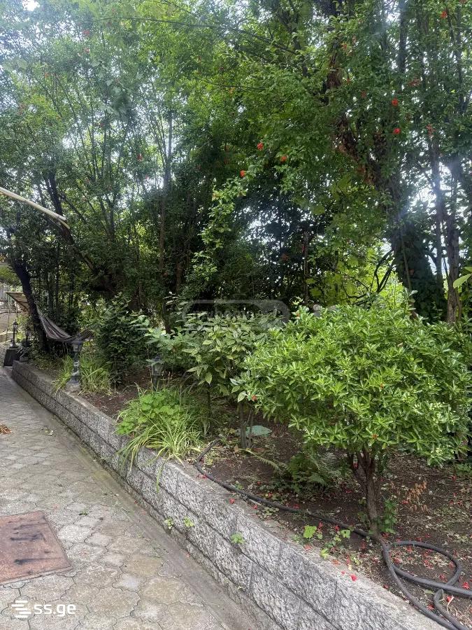 3 Room Private House For Rent. Vake, 12 of 12