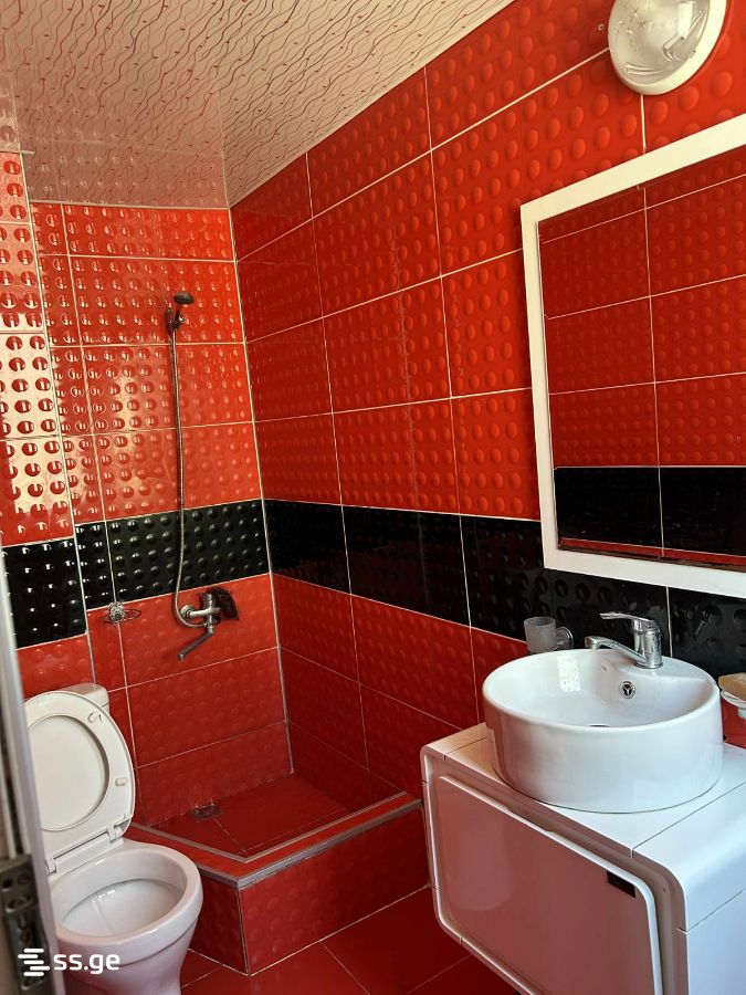 3 Room Flat Daily Rent. Kobuleti view 10