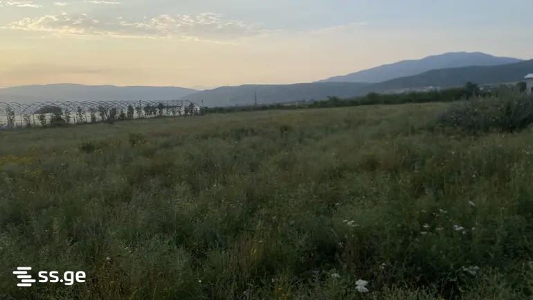 Продажа Земля в сагурамо, 4 of 10