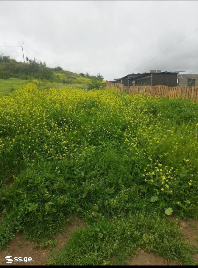 Land For Sale. Nadzaladevi view 7