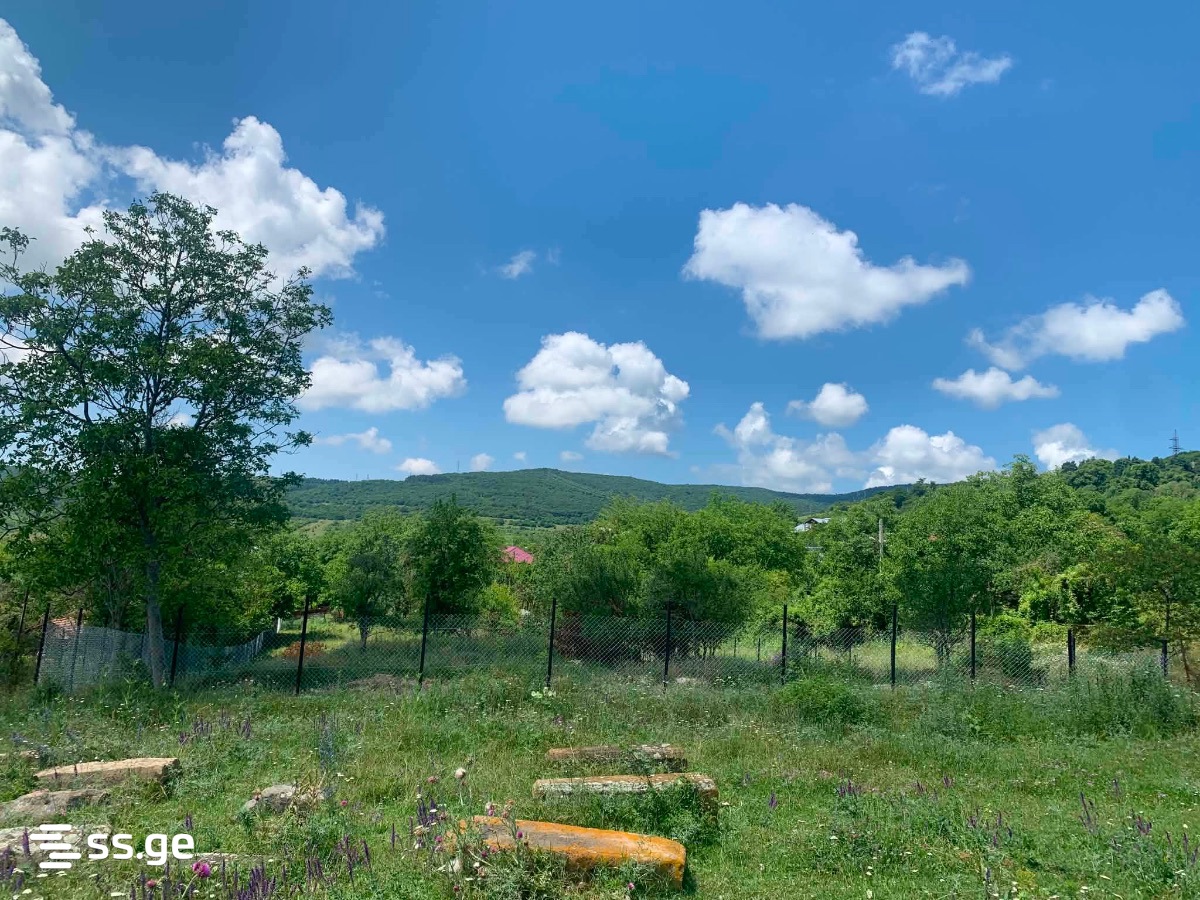 Land For Sale. Bazaleti view 10