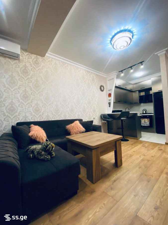 2 Room Flat Daily Rent. Didube, 8 of 8