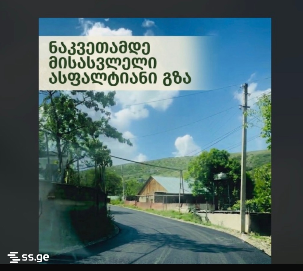 Land For Rent. Lisi Lake, 7 of 10