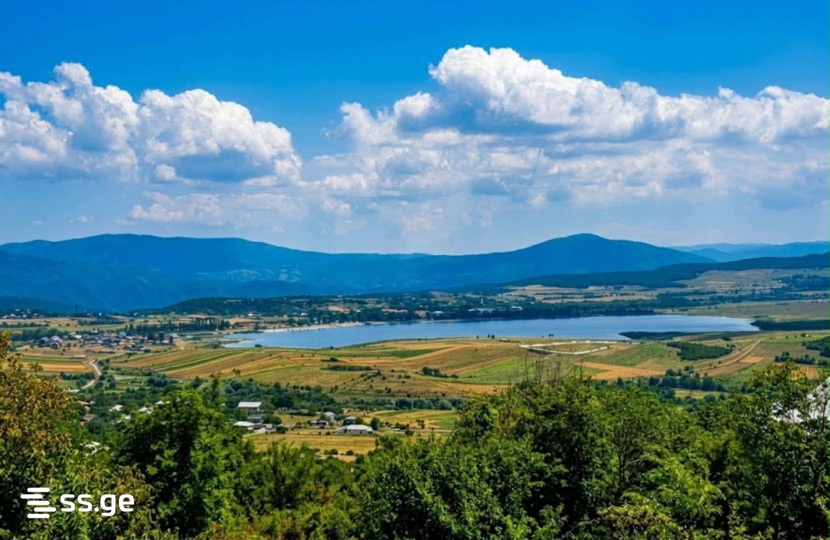 Land For Sale. Bazaleti view 1