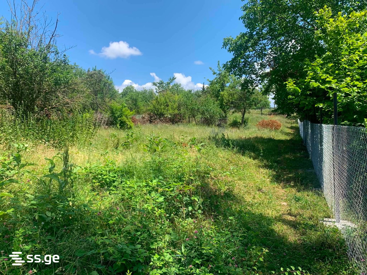Land For Sale. Bazaleti view 2