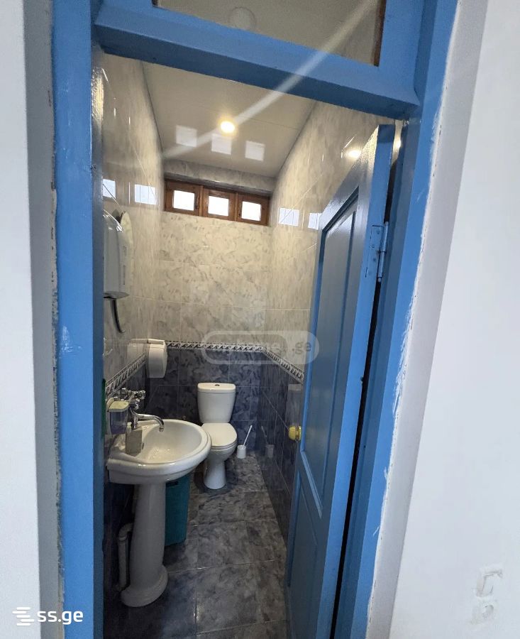 Private House For Rent. Vedzisi, 11 of 12