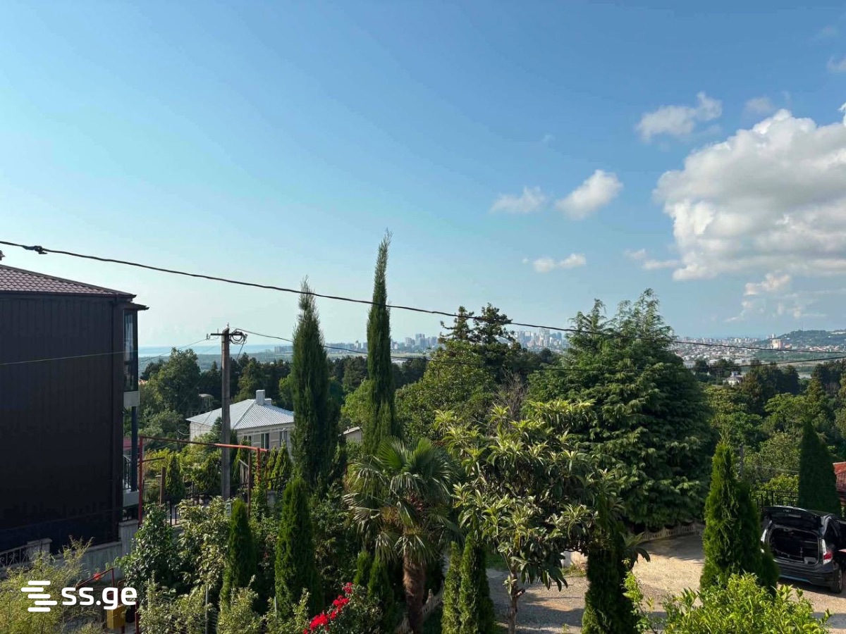 4 Room Summer Cottage For Rent. Akhalsopeli view 7