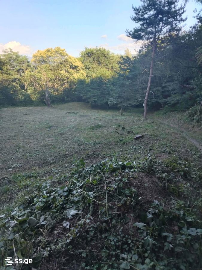 Продажа Земля в амбролаури view 1
