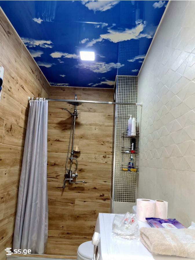 2 Room Flat Daily Rent. Varketili, 11 of 12