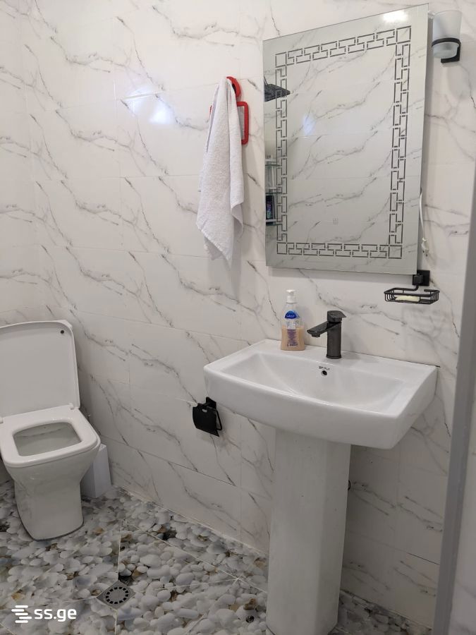 4 Room Private House Daily Rent. Batumi view 9