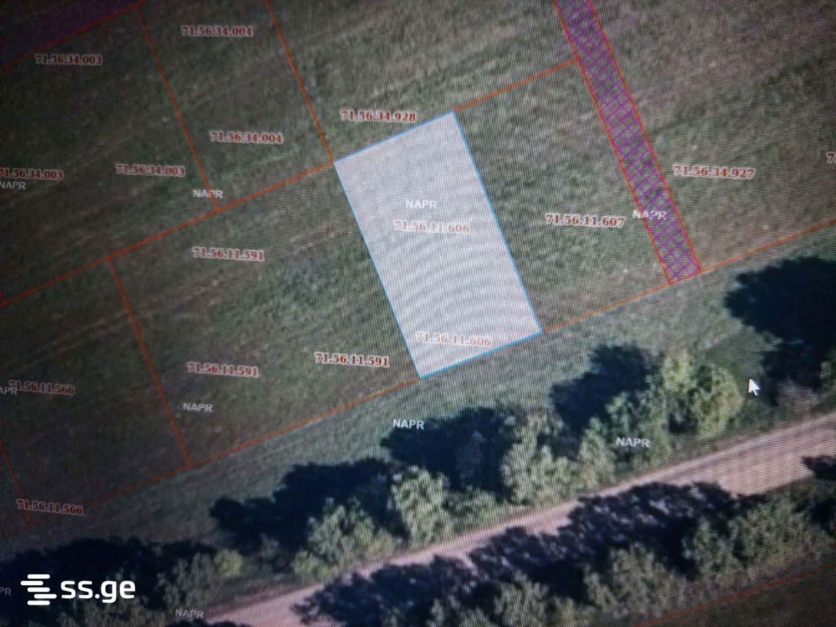 For Sale Sasoplo-Sameurneo Land Plot Dushetis Munitsipalitetshi view 7