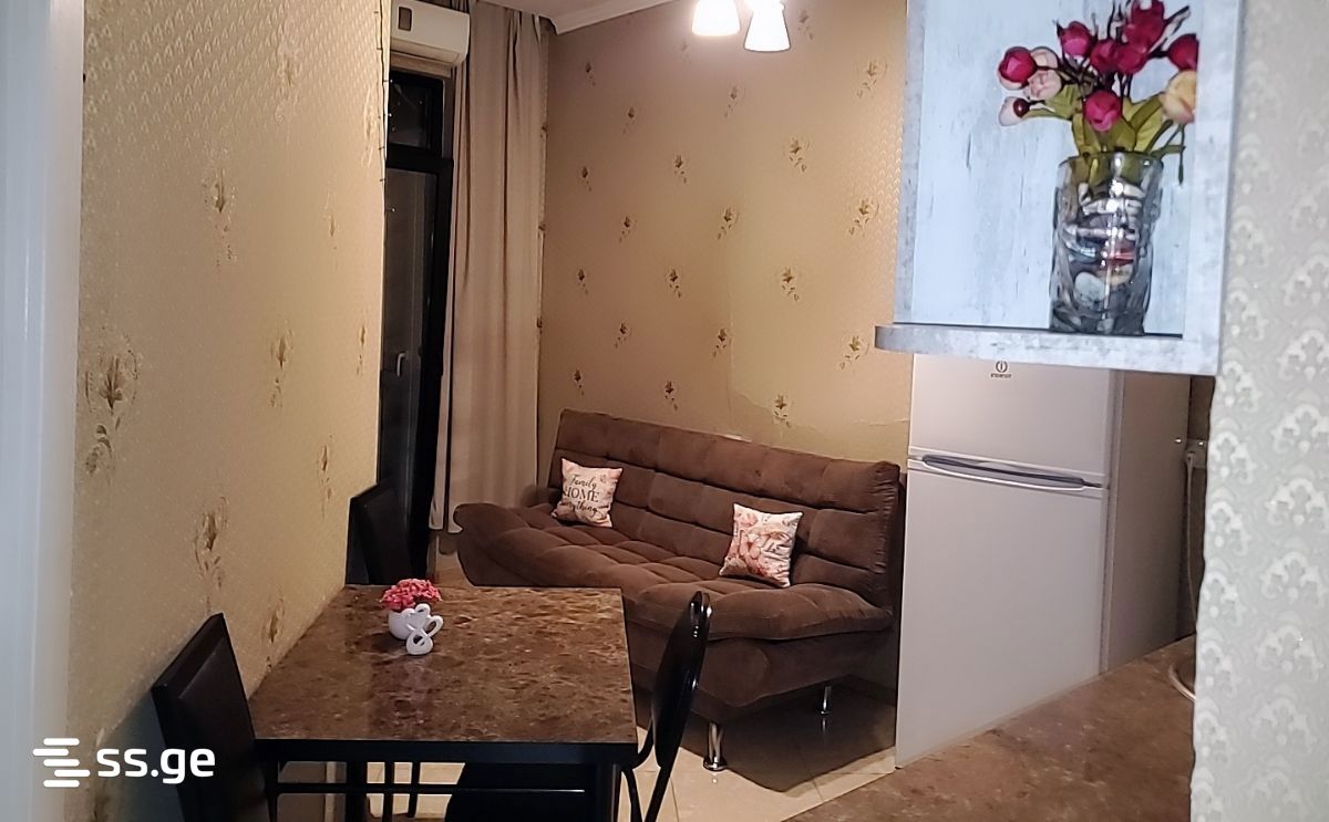 2 Room Flat Daily Rent. Saburtalo, 1 of 8