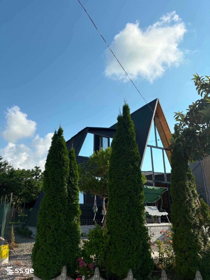 4 Room Summer Cottage For Rent. Akhalsopeli view 4