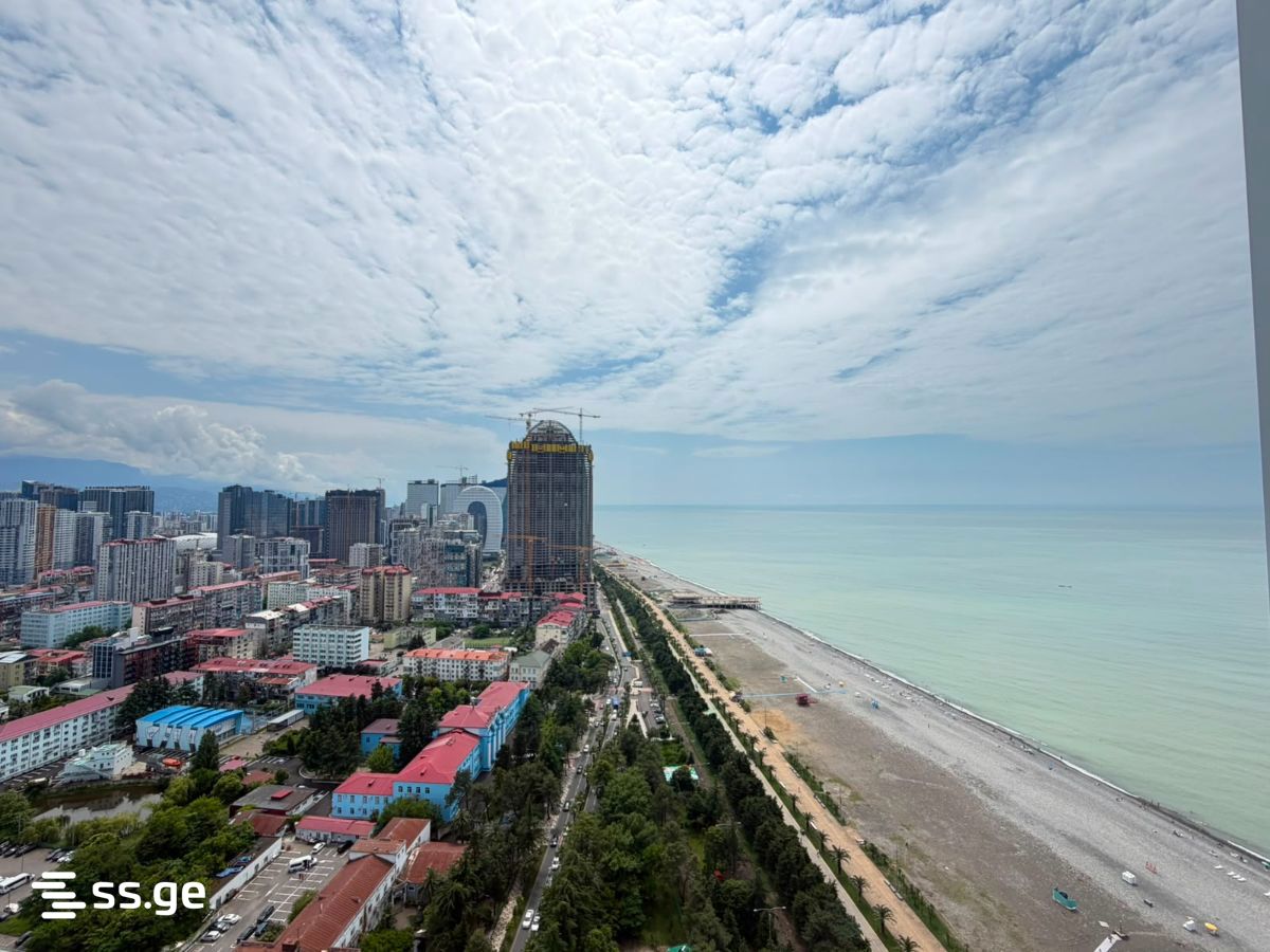 1 Room Flat Daily Rent. Batumi view 1