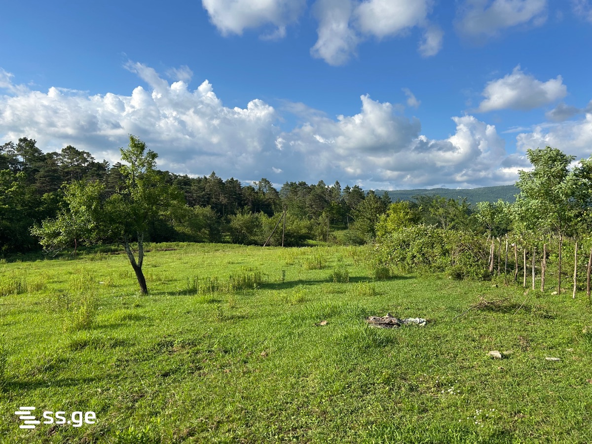 Land For Sale. Tskaltubo view 4