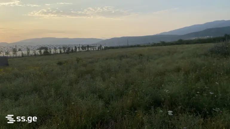 Продажа Земля в сагурамо, 1 of 10