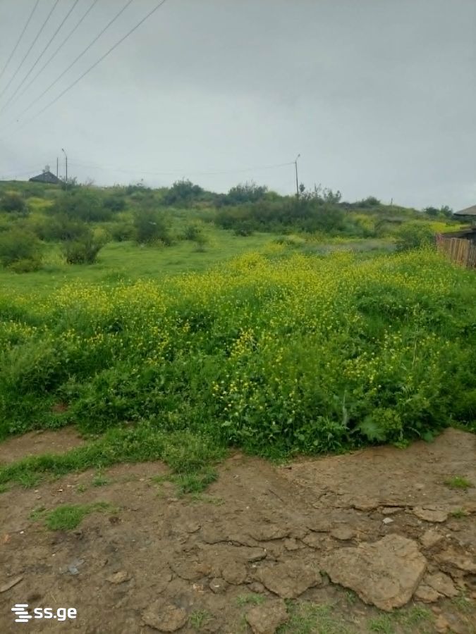 Land For Sale. Nadzaladevi view 3