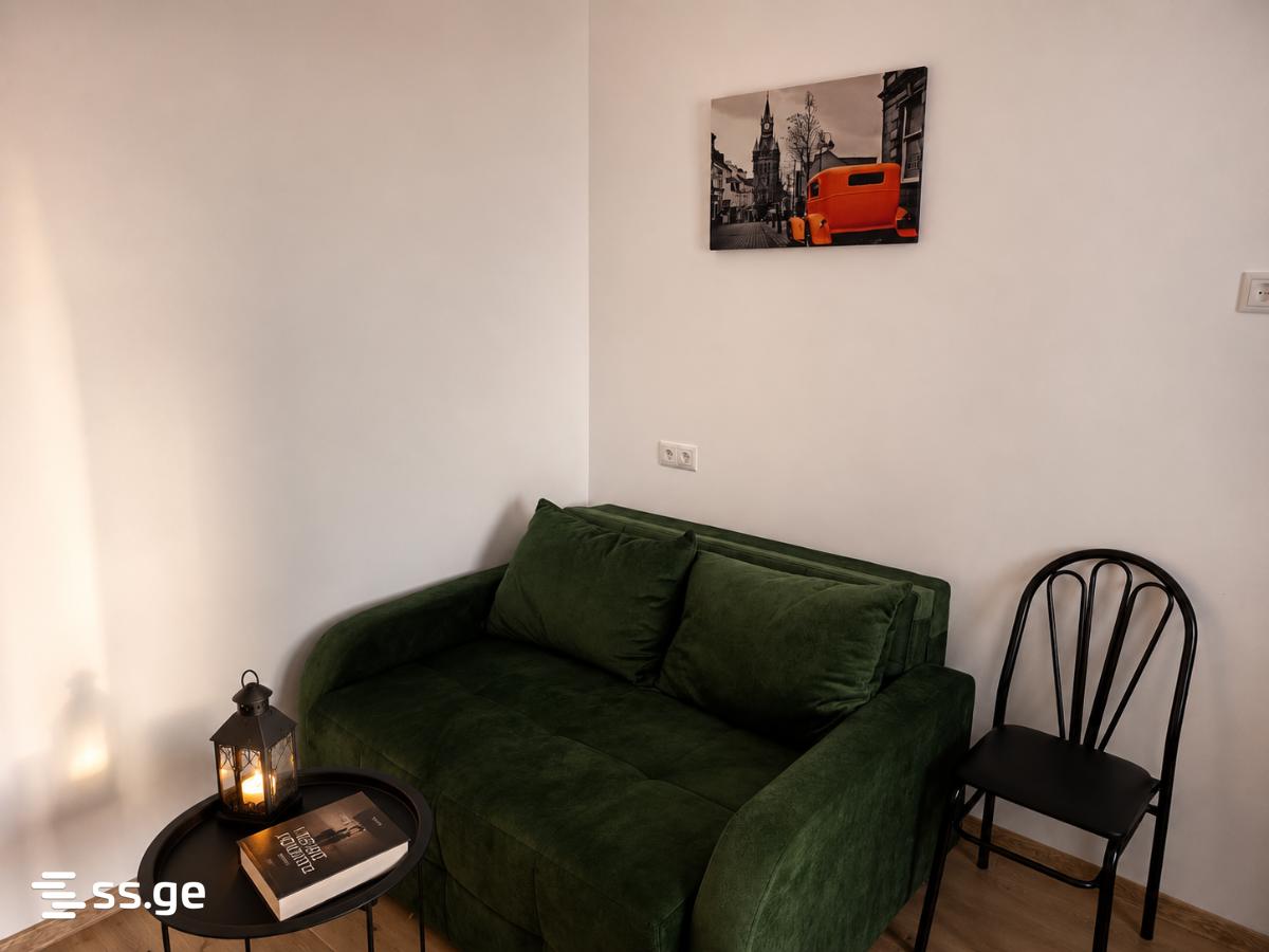 1 Room Flat For Rent. Rustavi, 4 of 5