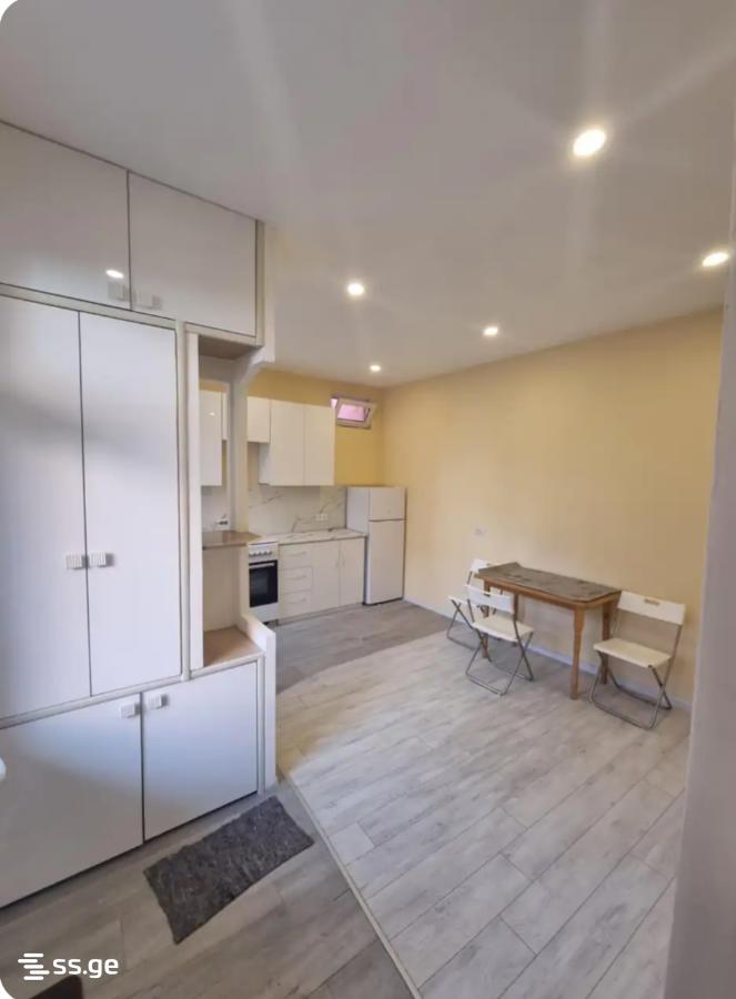 1 room Flat For Rent. Nadzaladevi - Widok 2