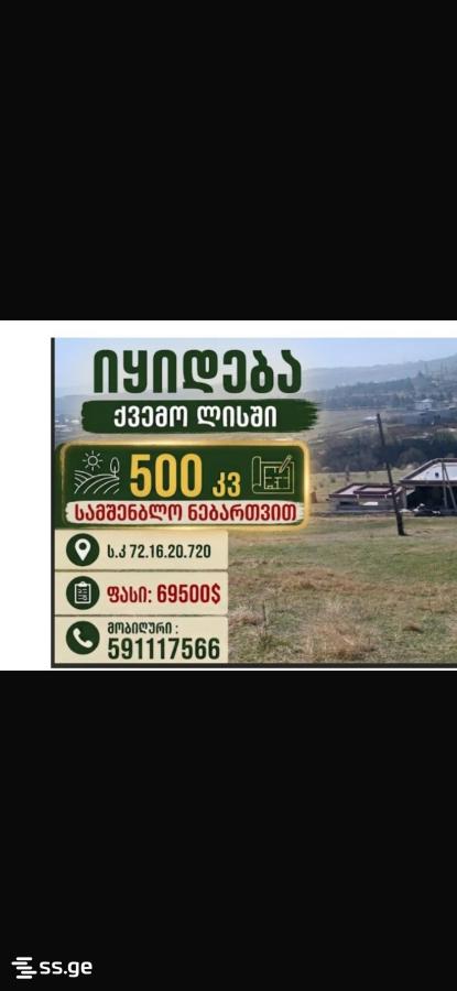 Land For Rent. Lisi Lake, 2 of 10