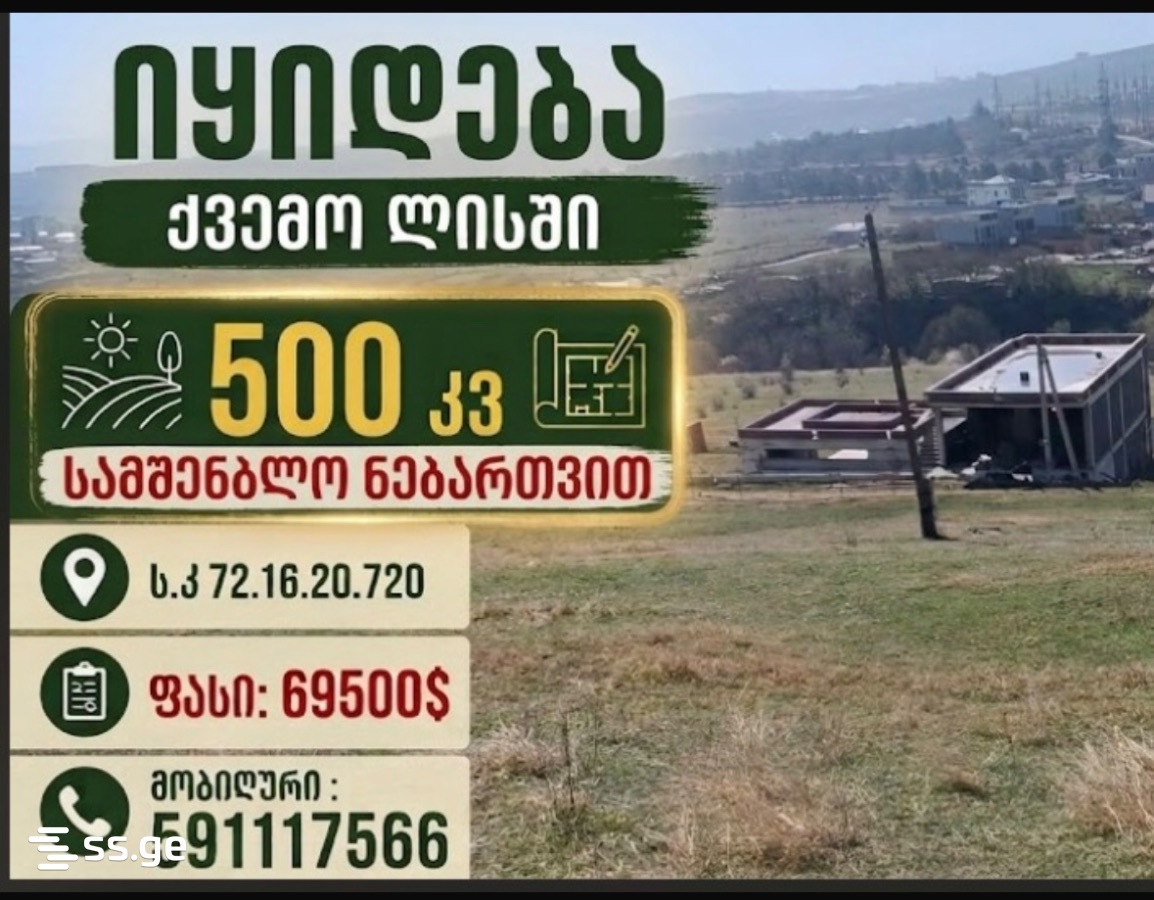Land For Rent. Lisi Lake, 3 of 10